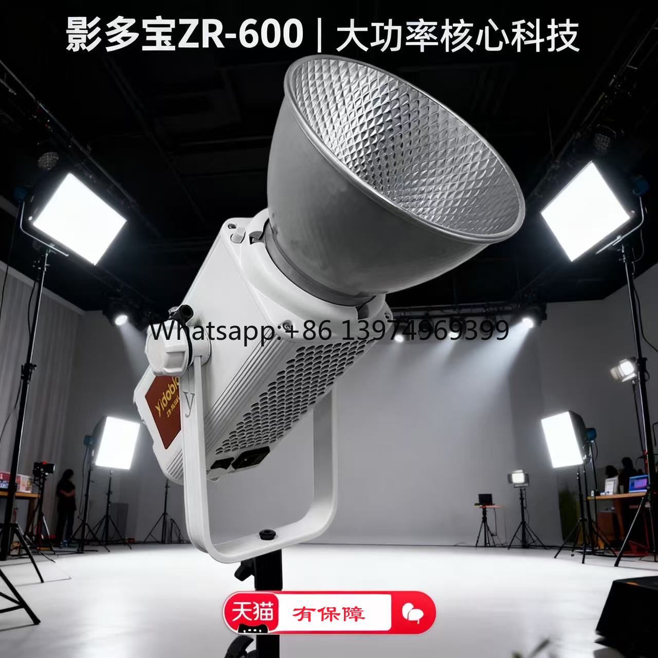 Photography Lighting Direction - Yingduobao 600Wプロフェッショナルダイレクトフィルライト、主な用途：販売用写真撮影ライト、高解像度ポートレート撮影。